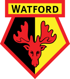 塞尔维特